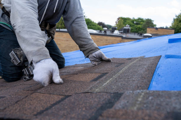 Best Roof Waterproofing Services  in Sultana, CA